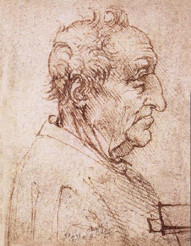  Profile of an old man